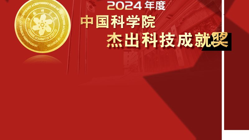 金融行业数据治理方案：优缺点解析