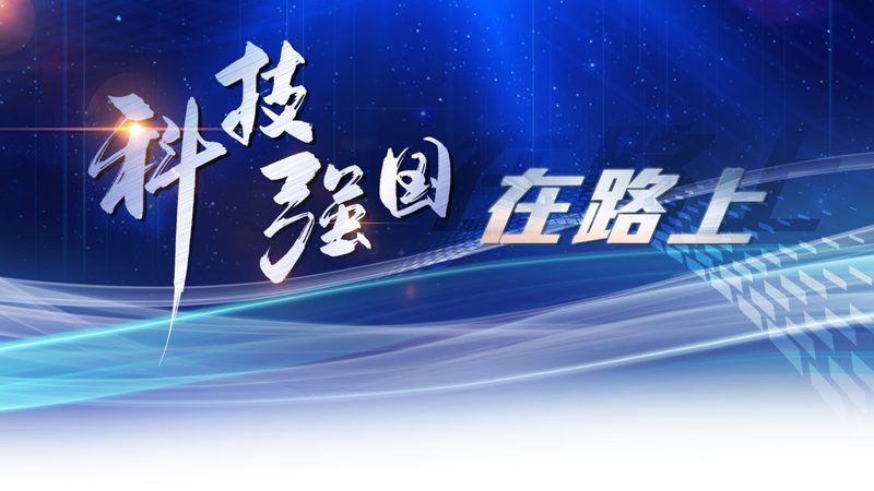 自研与外包：技术开发的战略抉择**